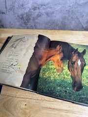 Horses of the Sun by Robert Vavra (1995, Hardcover) Signed By The Author