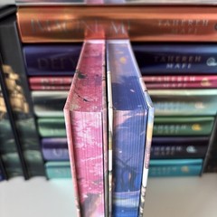 A Thousand Broken Pieces & A Thousand Boy Kisses Tillie Cole Eternal Embers Box