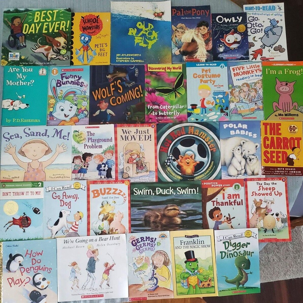 Lot 30 ACCELERATED READER AR Level 1.0-1.9 1ST GRADE Picture Books