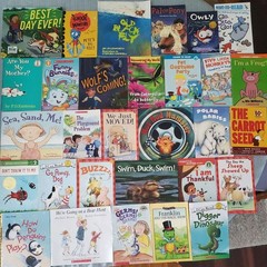 Lot 30 ACCELERATED READER AR Level 1.0-1.9 1ST GRADE Picture Books