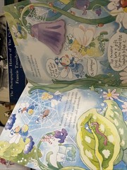 Secret Fairy Handbook by Penny Dann (1997, Novelty Book)
