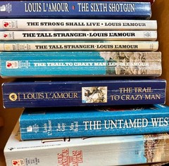 Louis L’Amour Paperback Books – Buyer Chooses – Western Novels Sackett Series