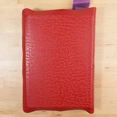 Holy Bible edited by Rev. John P. O’Connell (The Catholic Press, 1952)