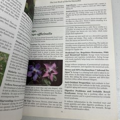 The Lost Book of Herbal Remedies by Davis & Apelian 2020 Paperback