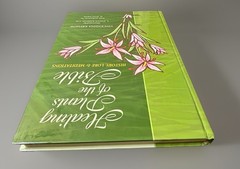 Healing Plants of the Bible HC – History Lore Meditations Spiritual Herbal Guide