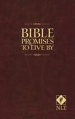 Bible Promises to Live By – 9781414313559, paperback, Ronald A Beers