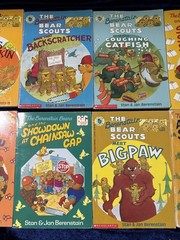 Lot of 10 The Berenstain Bears BIG Chapter Books By Stan & Jan Berenstain
