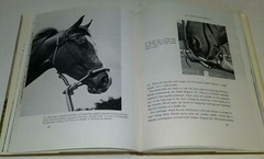 Saddle Up The Farm Journal Book of Western Horsemanship by Charles Ball 5th PRT