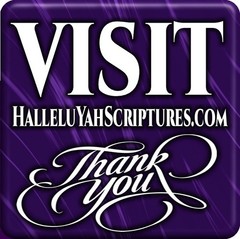 HalleluYah Scriptures Softcover HEBREW/ENGLISH Parallel – ONLY ONE OF ITS KIND