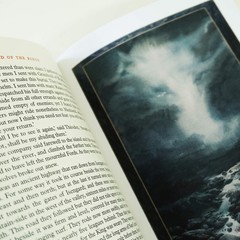 The Hobbit & The Lord of the Rings by J. R. R. Tolkien Illustrated Box Set – HB