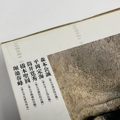 東大寺 Todaiji Temple Nara Japan Photo Book Hakudo Inoue Kokuhou Photography VTG