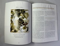 Even If a study of Habakkuk by The Daily Grace Co. Book Kristin Schmucker