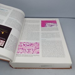 Histology for Pathologists: 3rd Edition 2007 Hardcover by Stacey E. Mills