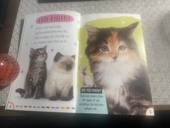 Rosie Greening, The Cuties Club:Kitten Cuties with necklace, like new
