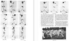 184 BOOKS – Black Belt – Martial Arts Expertise Discipline Skill Training-CD/DVD