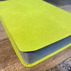 Biblia de referencia visual verde limon/ Visual Reference Bible Lime Green: NBD