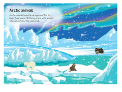 Sticker Fun Animals NEW Paperback Over 300 Stickers