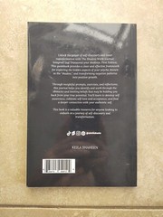 THE SHADOW WORK JOURNAL Guide Integrate & Transcend Your Shadows Self Help Book