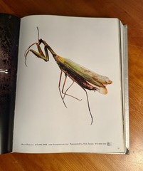 WORKBOOK Portfolio Photo 22 East/South Hardcover (Great For The Coffee Table)