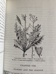 Flower Lore SC Hilderic Friend 1981 Pages 704 Nature Gardening