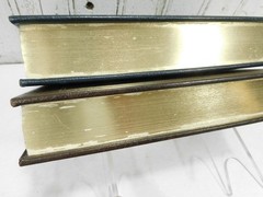 9 Easton Press Classic Books ~ Leather Bound Gold Gilt Crisp