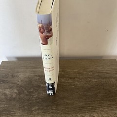 PROMISE ME, Dad by Joe Biden 2017 Flatiron Books FIRST EDITION hardcover HCDJ