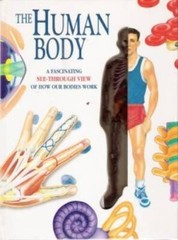 The Human Body: A Fascinating See-Through View of How Our Bodies Work – GOOD