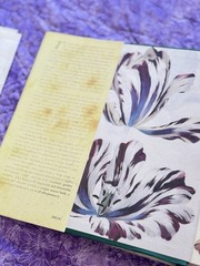 The Tulip | by Anna Pavord | First U.S. Edition | 1999 HC/DJ | Botanical History