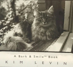 Why We Love Cats by Kim Levin. Kitty, Pets at Play, Best Friend Furry and Fluffy