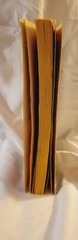 1976 Rocky Book By Julia Sorel 138 Pages