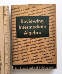 Amsco School Publications Reviewing Intermediate Algebra Mathematics Vintage