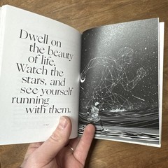 The Meditations of Marcus Aurelius, Illustrated