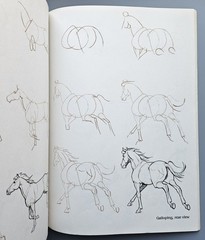 Draw 50 Animals Books Lot Lee J Ames Horses Cats Dogs Step-by-Step Drawing