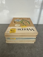 Lot of 6 1950’s/60’s Golden Nature Guide Vintage Children’s Science PB Books MCM