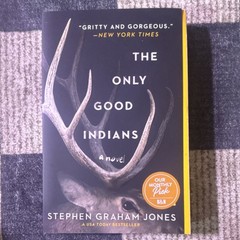 Stephen Graham Jones The Only Good Indians Paperback Horror Native Americans
