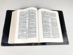 WORLD PUBLISHERS LOOSE LEAF KJV HOLY BIBLE CENTER COLUMN BONDED LEATHER RARE HTF