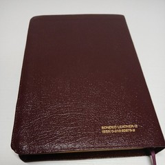 The Student Bible New International Version 1996 Edition Burgundy Bonded Leather