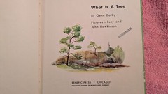 Gene Darby, WHAT IS A TREE (The What Is It Series) 1957, Ex-Library, HB, Child