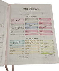 The Jesus Bible Pink with Gold In Box Louie Giglio Leather soft over board