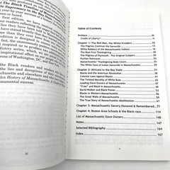 The Hidden History of Massachusetts by Tingba Apidta 2003 PB Revised & Expanded