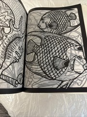 Dover Publications Stained Glass Color Book – Paperback, by Llyn Hunter – Good