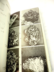 A Field Guide to Rocks and Minerals by Frederick H. Pough 1976 Paperback