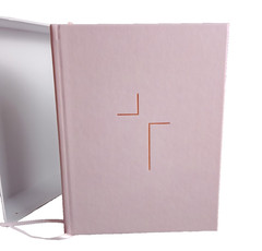 The Jesus Bible Pink with Gold In Box Louie Giglio Leather soft over board