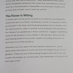 Grow Curious