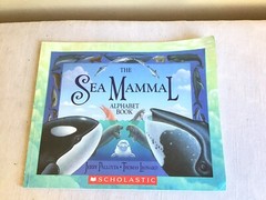 Mixed Lot Of 15 SC Childrens Illustrated Picture Books Teacher Classroom Set
