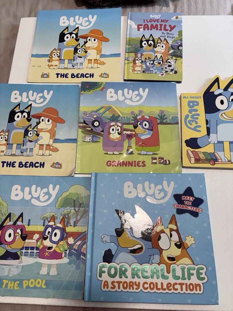 Bluey Book Set