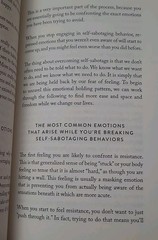 The Mountain Is You: Transforming Self-Sabotage Into Self-Mastery Paperback