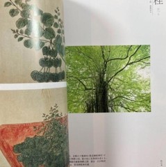 Toshiro Kawase – „God’s Tree: Go/Visit” Japanese sacred tree art