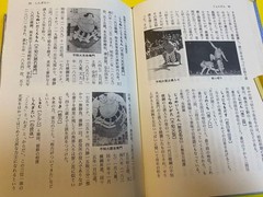 Sumo Encyclopedia by Kazuya Sawada, 244 pages, Illustrated, Good condition