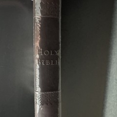 HCSB Holy Bible (brown, leather / faux leather) NEW